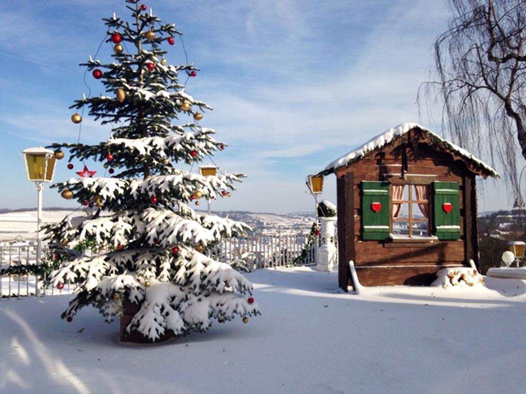 Hotel Wittelsbacher Hoeh Вюрцбург Екстер'єр фото